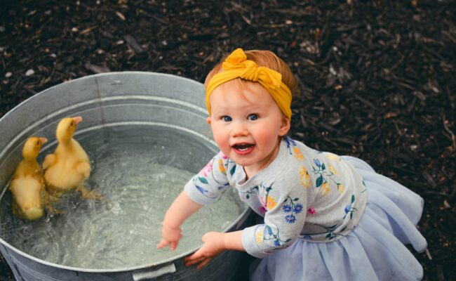 Toddler wearing a dress & yellow headband splashes in a tub where two ducklings swim